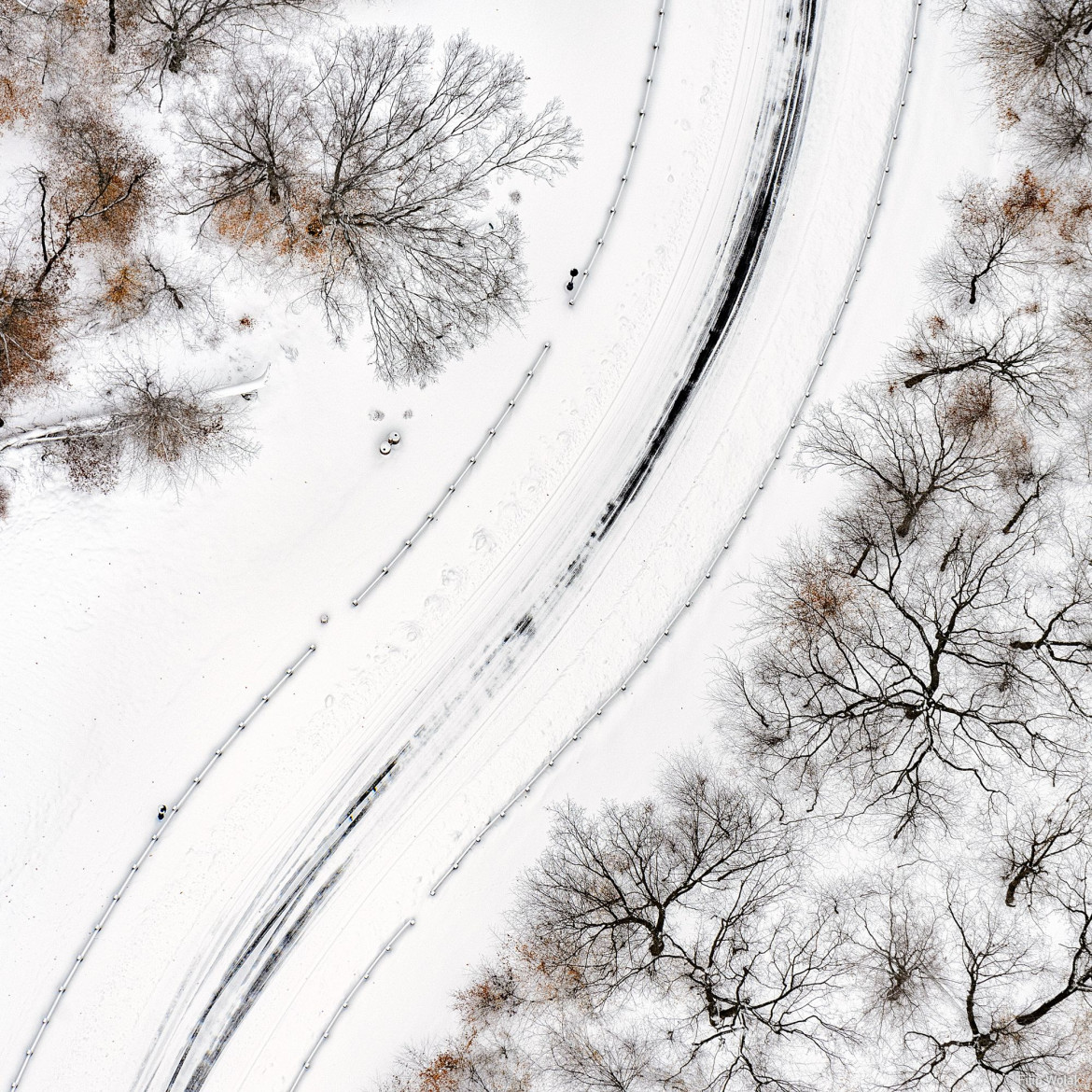 fot. Filip Wolak "Snow On The Road"