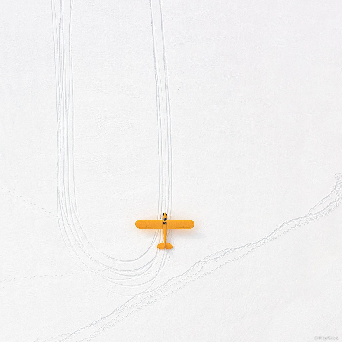fot. Filip Wolak "Yellow Plane"