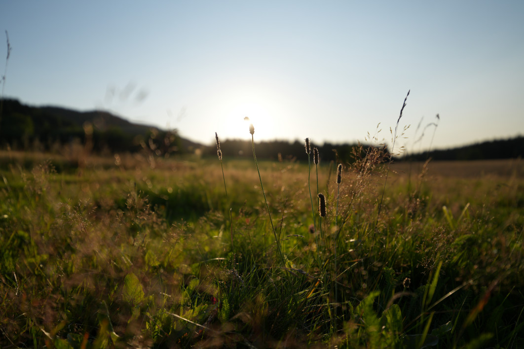  1/2500 s, f/2.8, ISO 100 ,30 mm