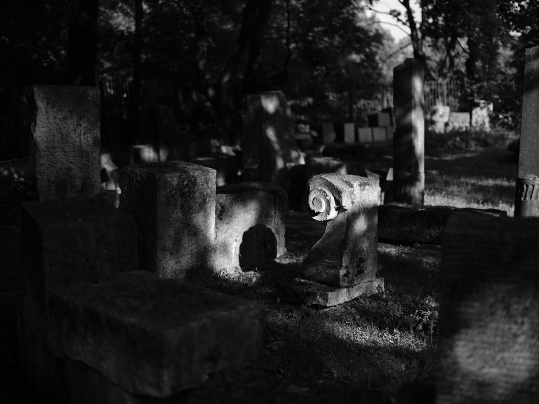1/950 s, f/1.7, ISO 80, 55 mm, tryb Acros