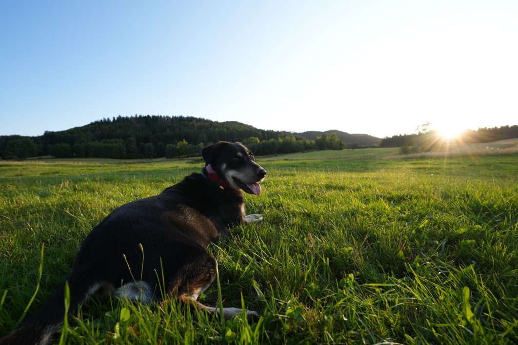 1/125 s, f/7.1, ISO 100 ,16 mm