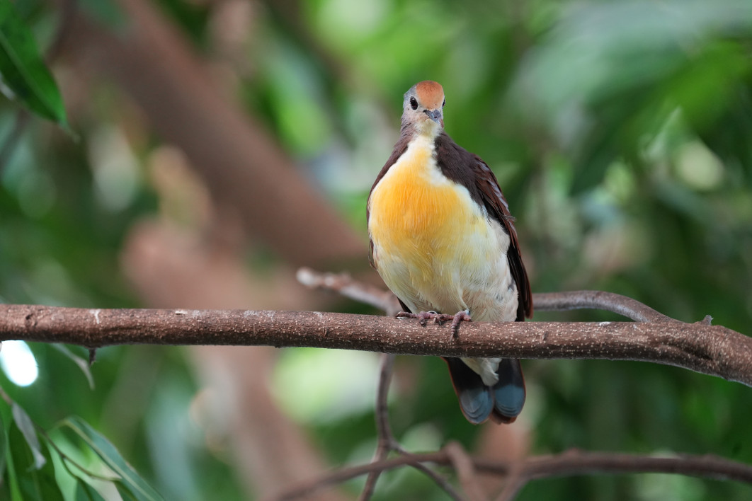 1/160 s, f/4.5, ISO 3200, 400 mm