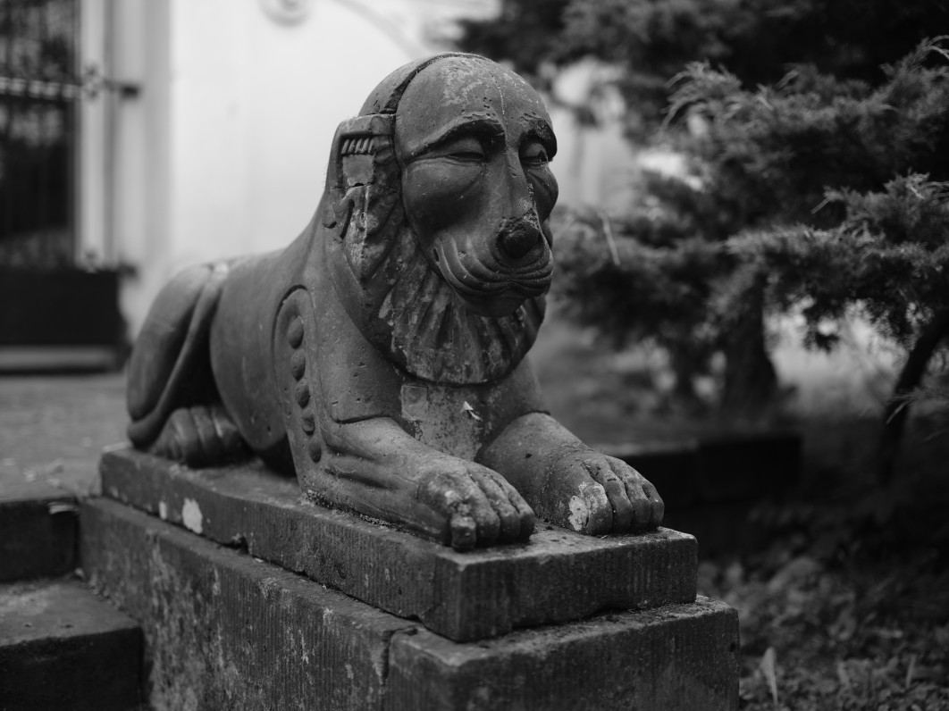 1/110 s, f/1.7, ISO 80, 55 mm, tryb Acros