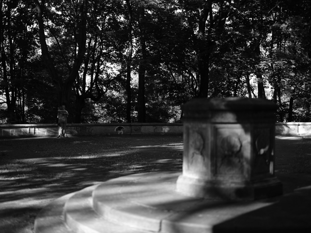1/340 s, f/1.7, ISO 80, 55 mm, tryb Acros