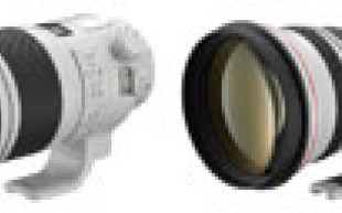 Canon EF 300 mm f/2.8L IS II USM i EF 400 mm f/2.8L IS II USM - pierwsze wrażenia i zdjęcia testowe
