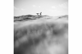 fot. Elwira Kruszelnicka, "Whisper of Waves", wyróżnienie w kategorii Fine Art