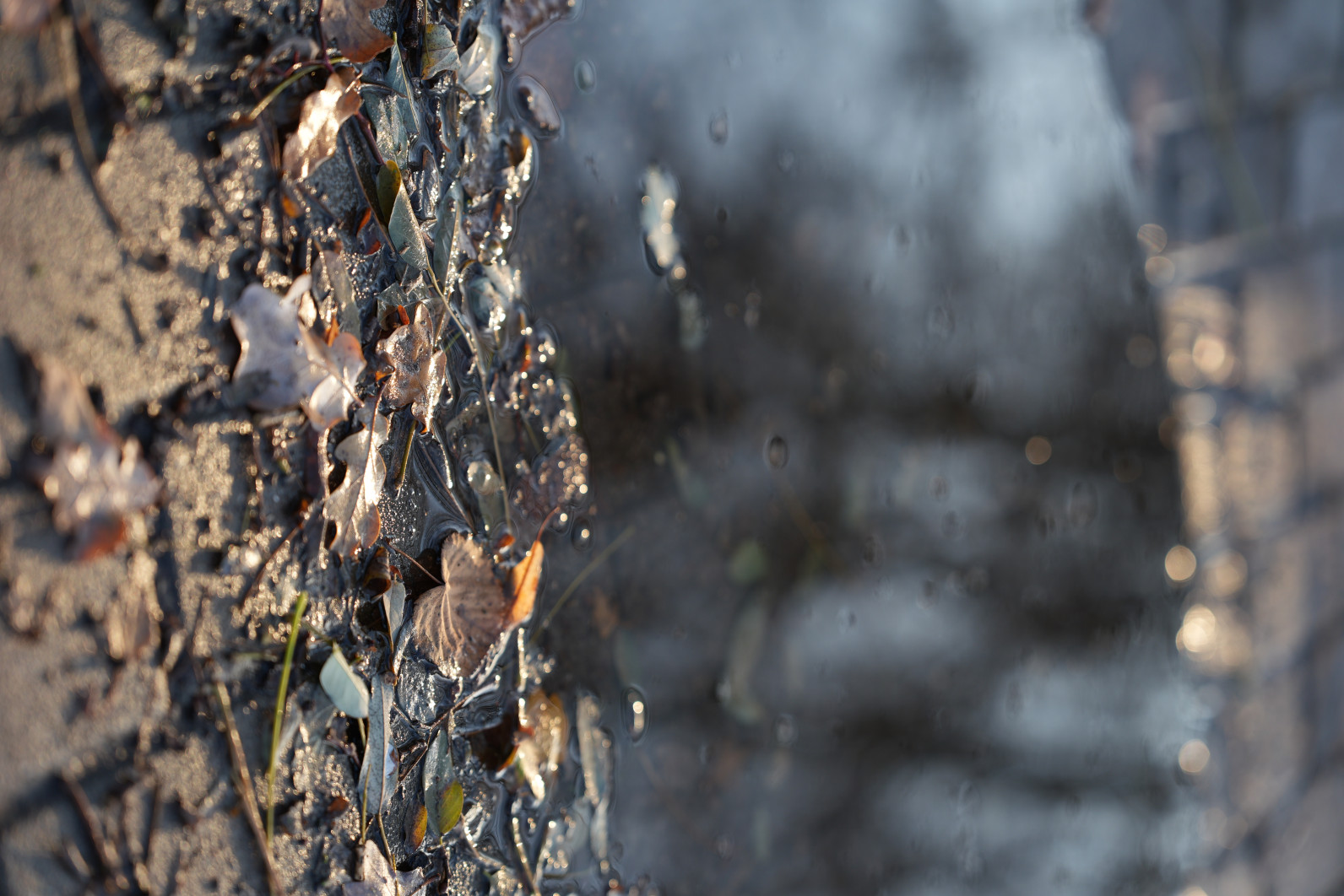 1/250 s, f/2.2, ISO 100, 70.0 mm