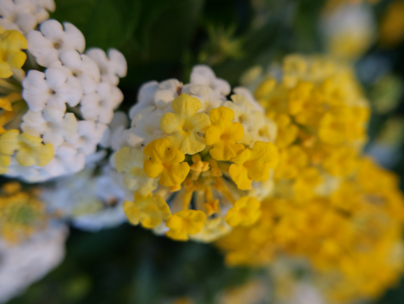 1/60 s, f/2.8, ISO 1250, 10.9 mm