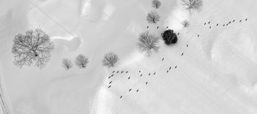 „To forma medytacji“ - o miłości do latania i fotografii opowiada Filip Wolak