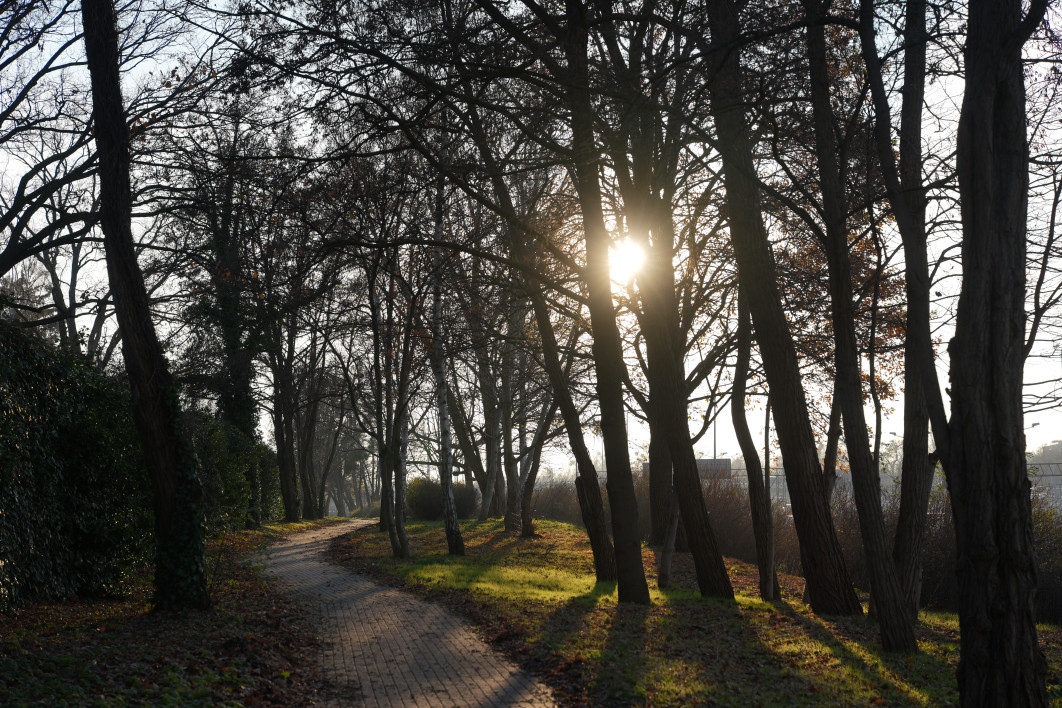 1/500 s, f/4, ISO 100, 70.0 mm