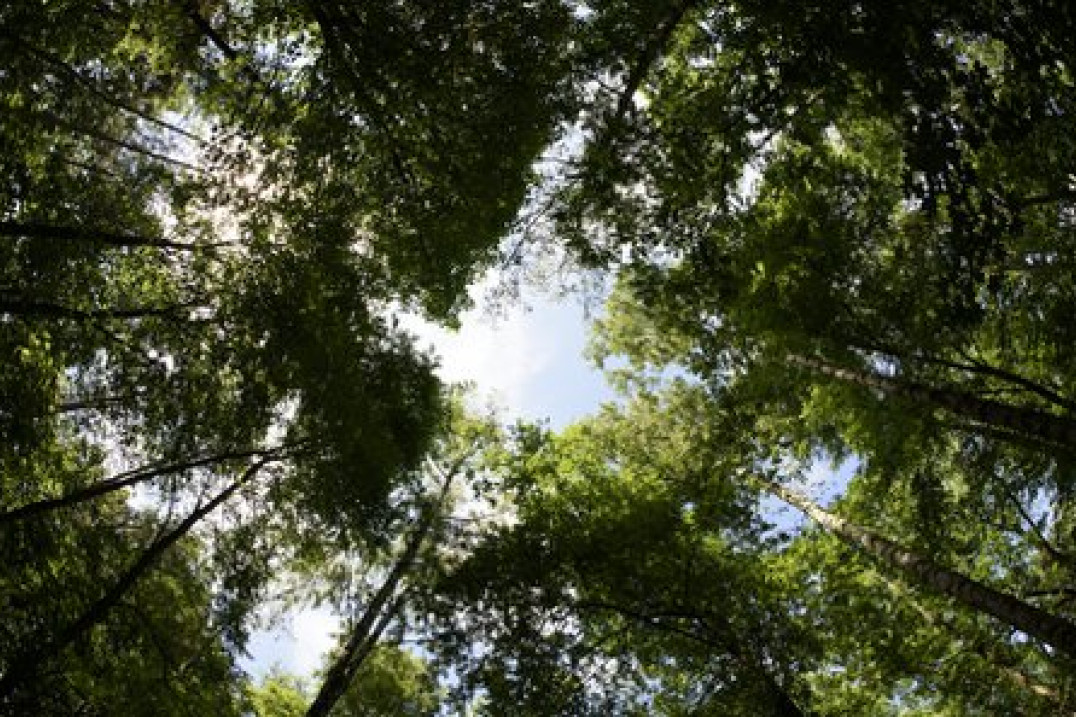 Samyang 12mm 1:2.8 ED AS NCS Fish-eye – zdjęcia przykładowe