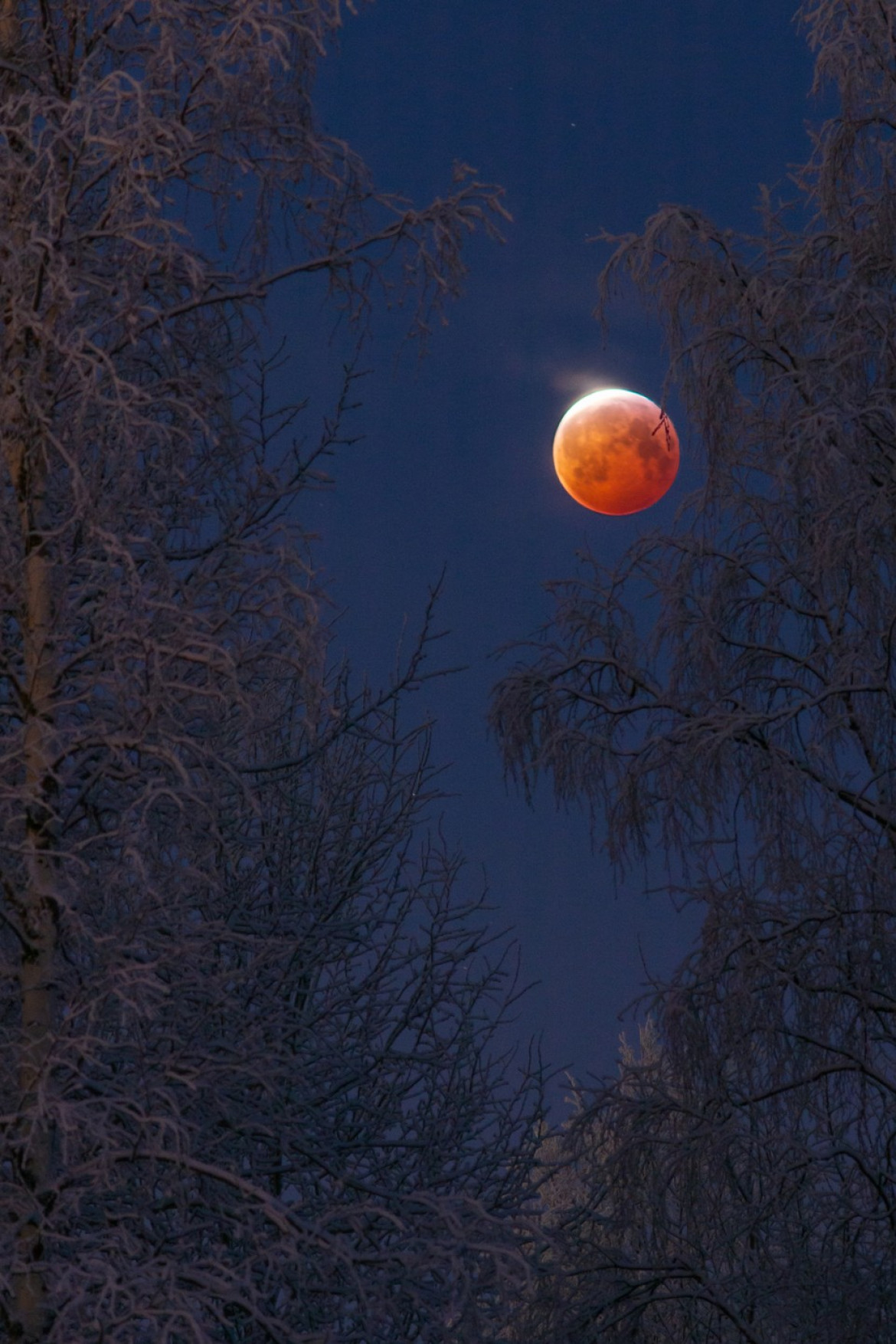 fot. Keijo Laitala, "Bloodborne" / Insight Investment Astronomy Photographer of the Year 2019