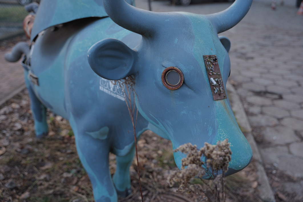1/100 s, f/2.8, ISO 100, 36.0 mm