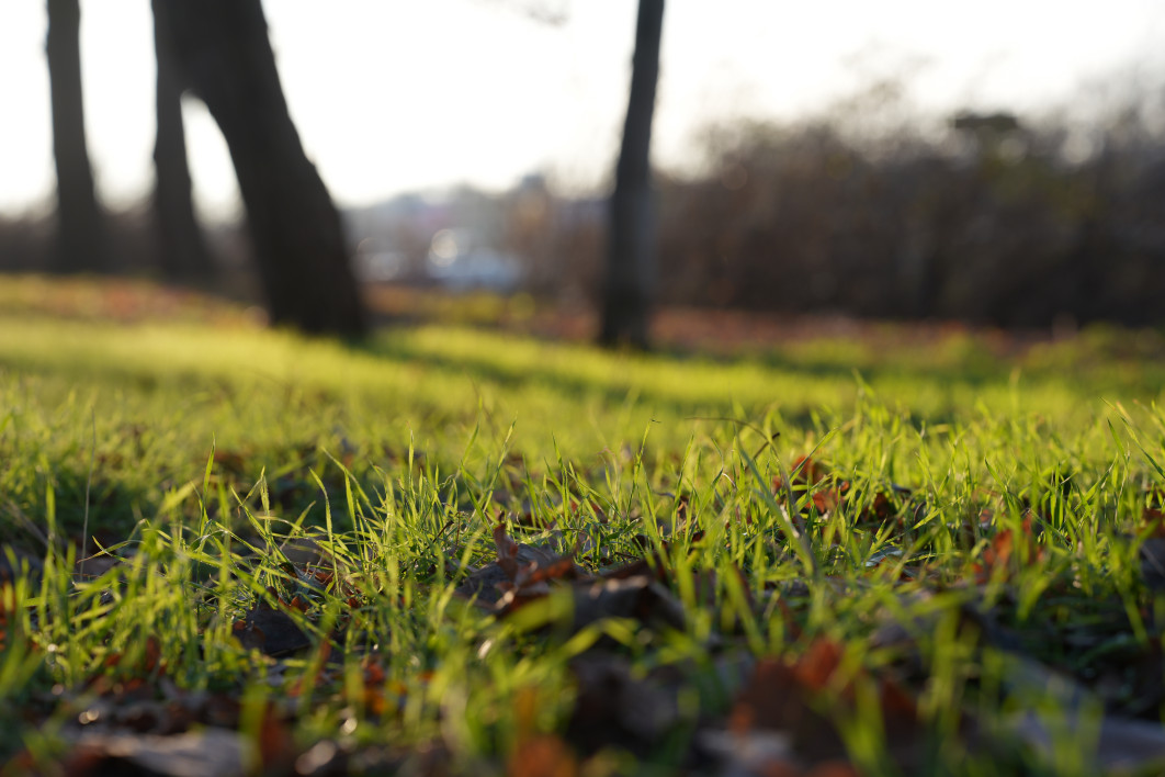 1/200 s, f/4, ISO 100, 70.0 mm