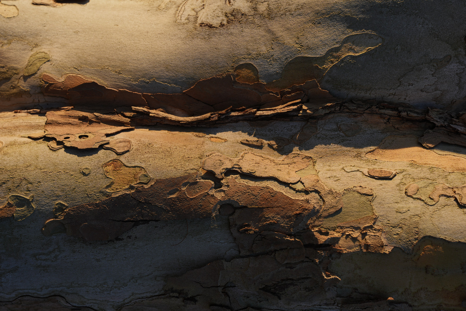 1/125 s, f/5.6, ISO 100, 70.0 mm