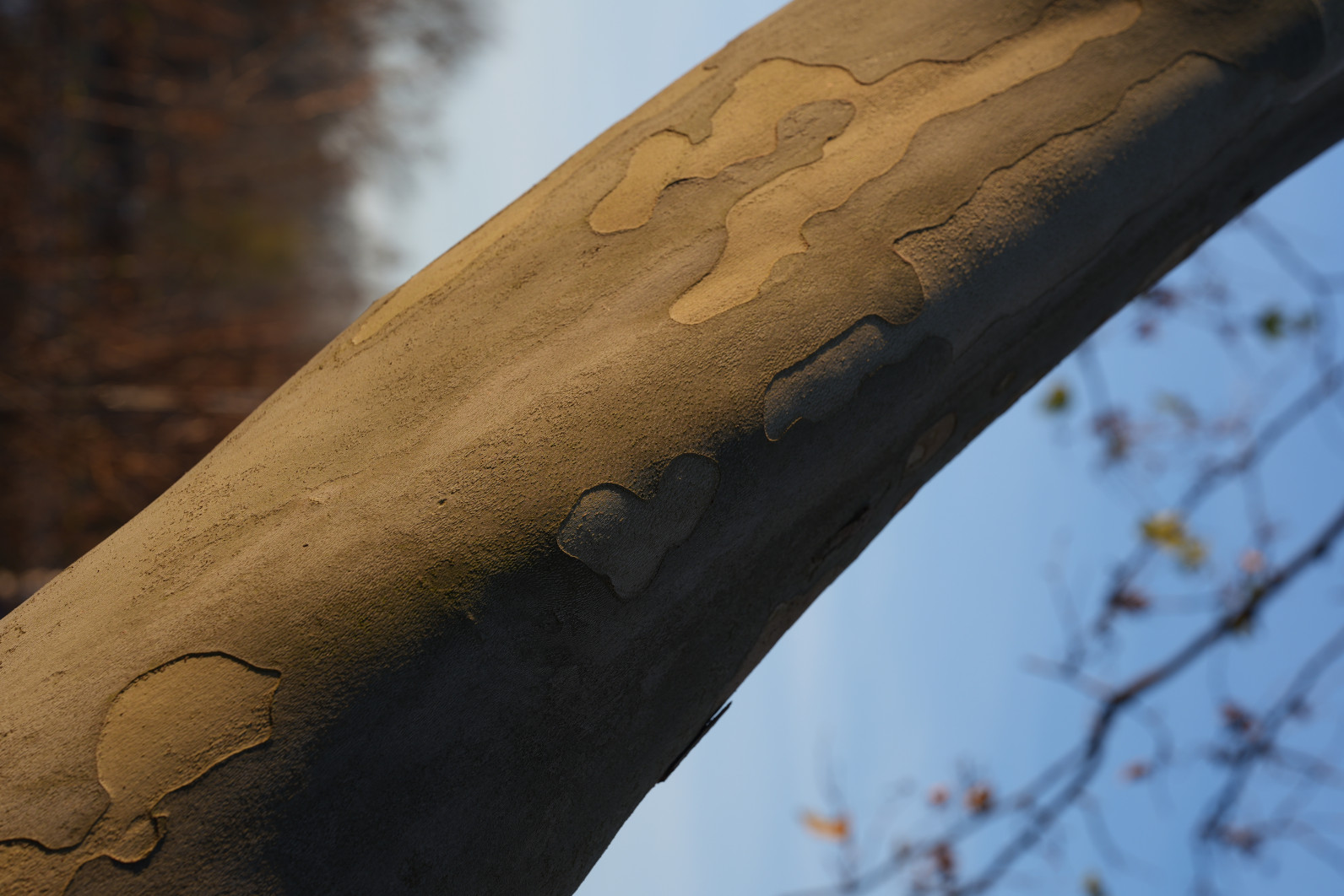 1/250 s, f/5.6, ISO 100, 70.0 mm