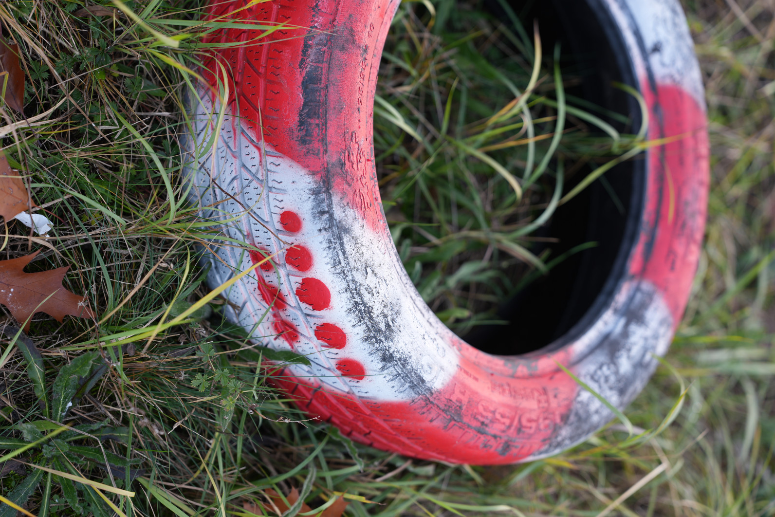 1/125 s, f/2.2, ISO 100, 70.0 mm