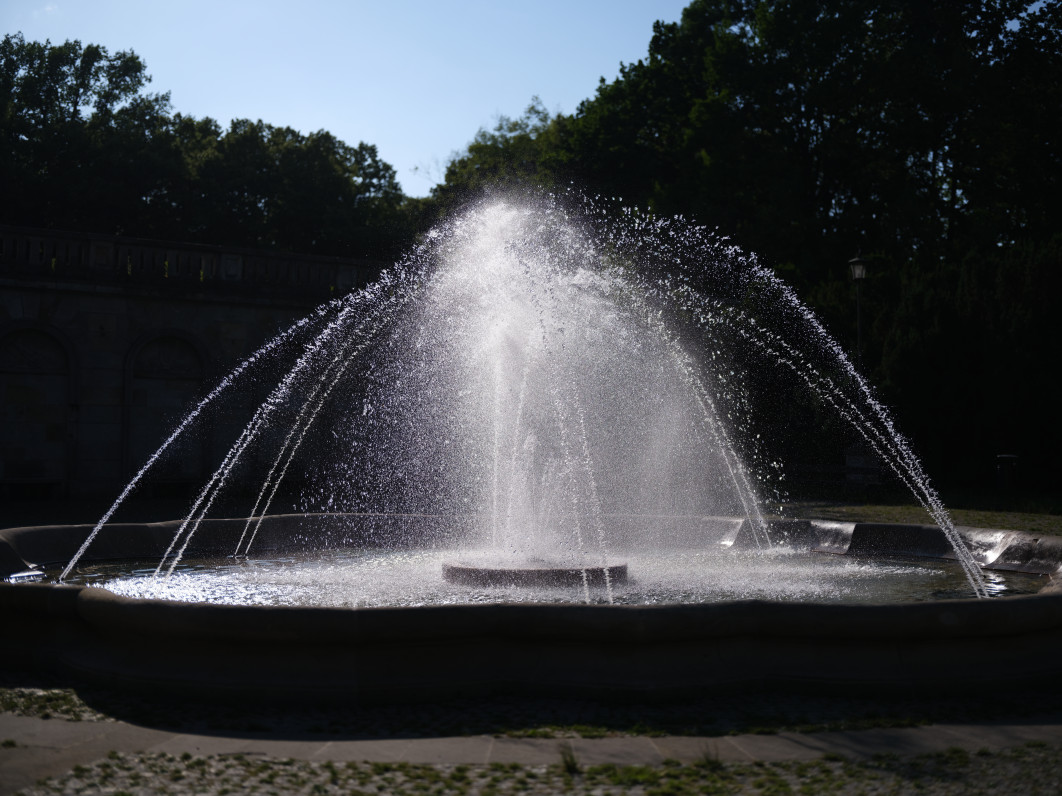 1/7500 s, f/1.7, ISO 80, 55 mm