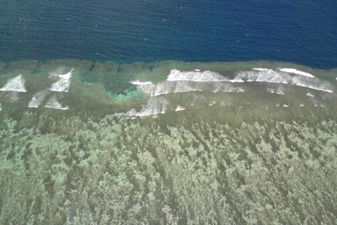 Basia Sokołowska - o fotografii subiektywnie: O wakacyjnym fotografowaniu