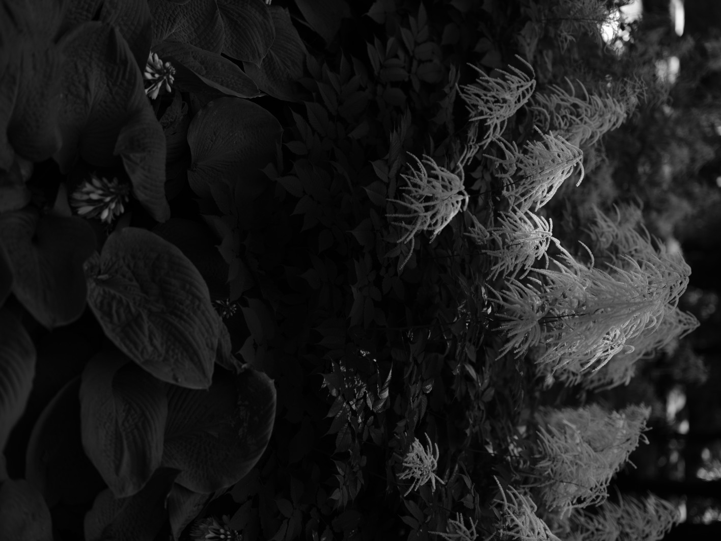 1/340 s, f/2, ISO 80, 55 mm, tryb Acros