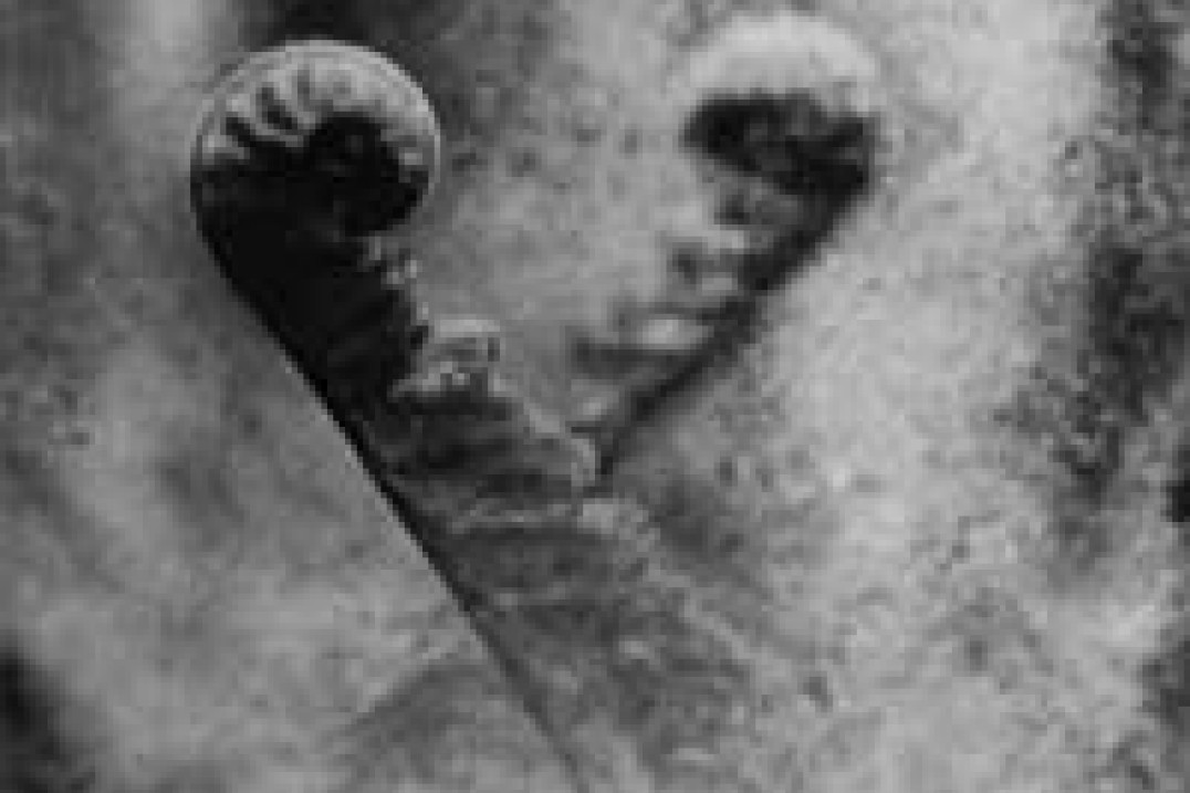 Zjeżdżałka i Żurek