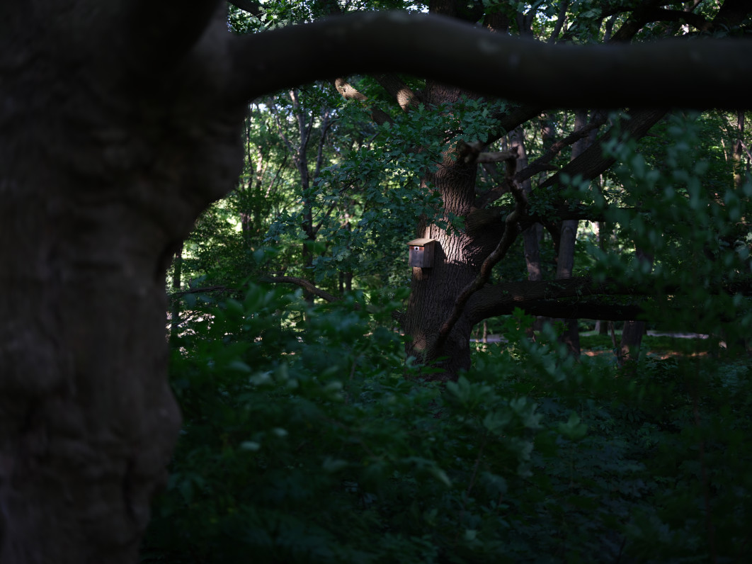 1/100 s, f/1.7, ISO 80, 55 mm