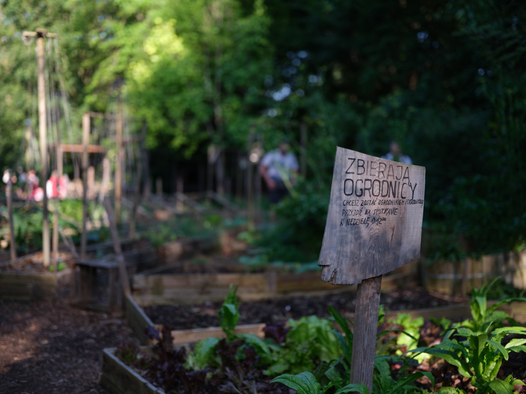 1/450 s, f/1.7, ISO 80, 55 mm
