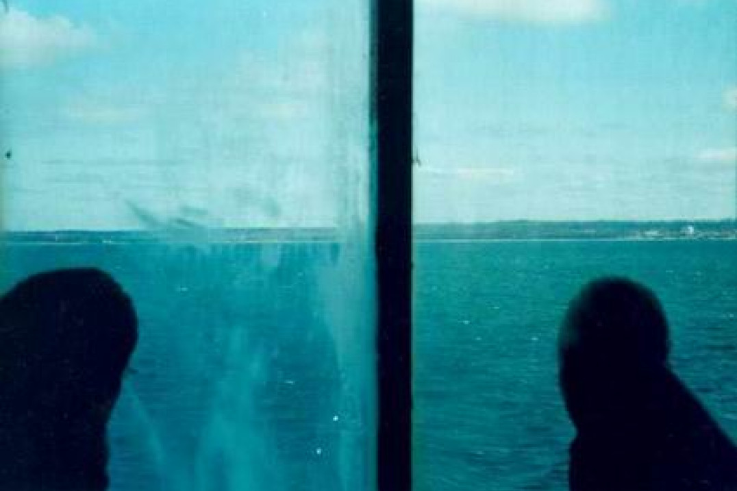 Marcin Przybyłko - "Oswajanie świata"