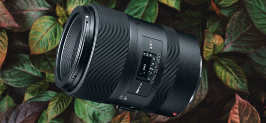 Tokina ATX-i 100 mm f/2.8 1:1 Macro - niedrogi obiektyw makro nowej generacji do lustrzanek