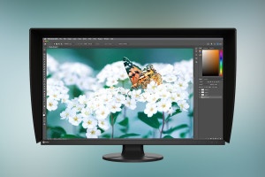 EIZO ColorEdge CS3200X - 31.5-calowy monitor 4K UHD ze sprzętową kalibracją i  gamutem AdobeRGB