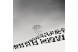 OLIVIER ROBERT - Snow Fences - II miejsce w kategorii Landscapes (zdjęcie z serii)