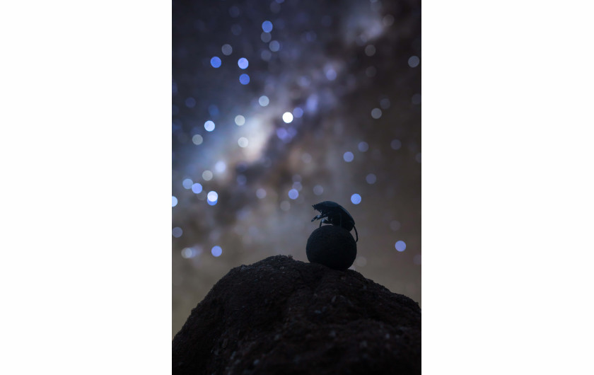 fot. Robin Stuart, Celestial Navigator / Insight Investment Astronomy Photographer of the Year 2019