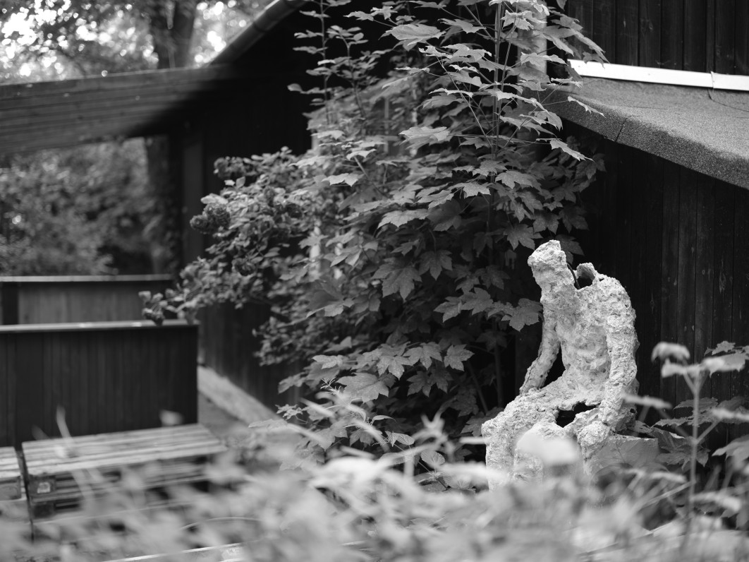 1/100 s, f/1.7, ISO 200, 55 mm, tryb Acros