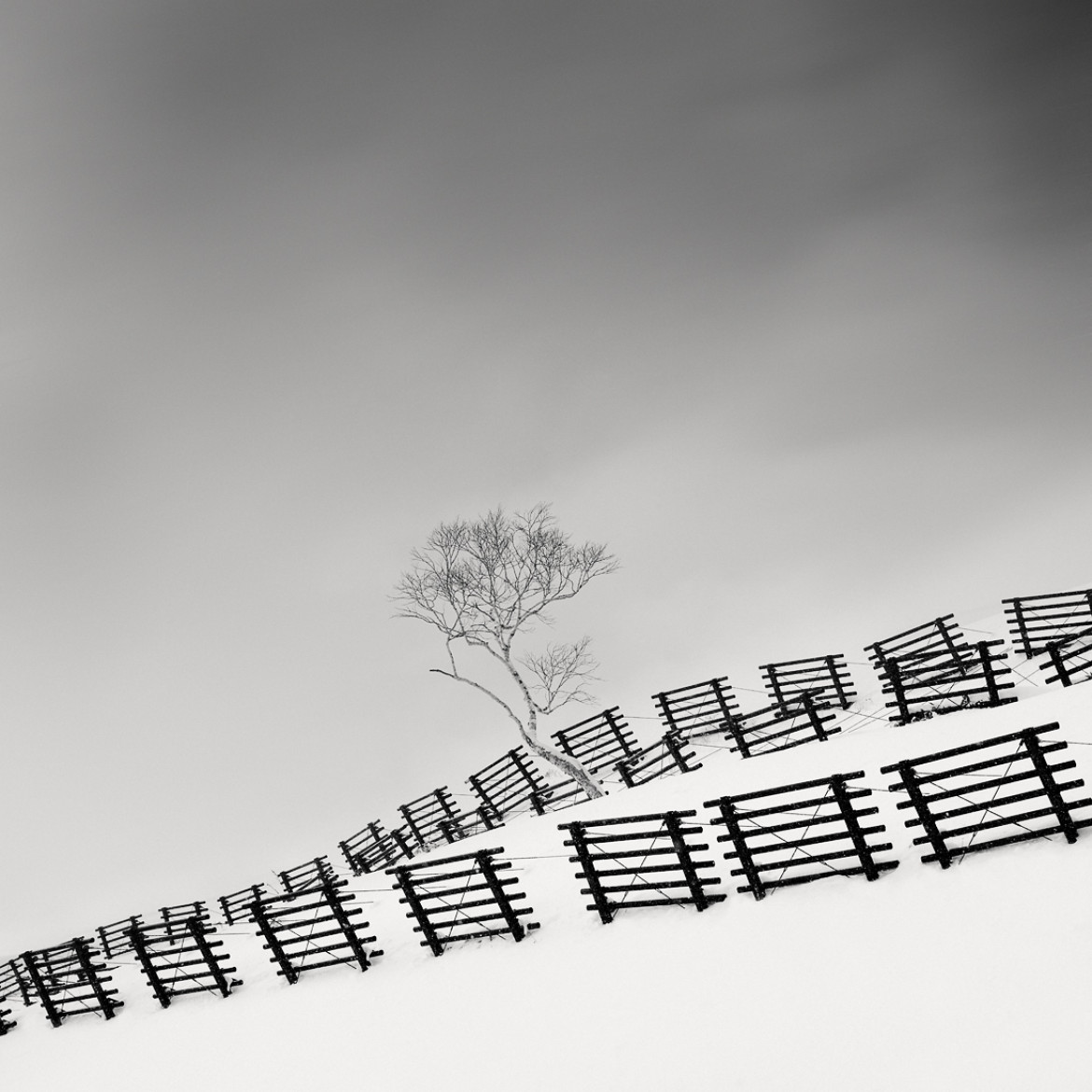OLIVIER ROBERT - Snow Fences - II miejsce w kategorii Landscapes (zdjęcie z serii)