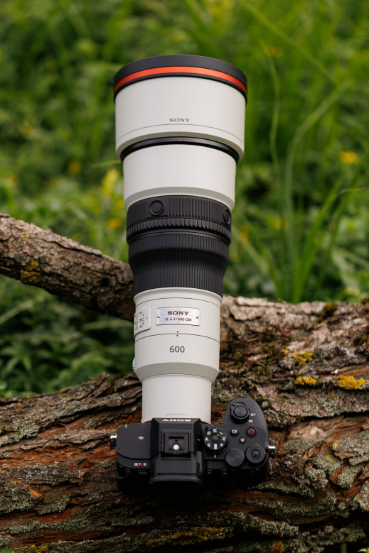 Sony FE 600 mm f/6.3 GM OSS - test praktyczny i zdjęcia przykładowe [+RAW do pobrania]