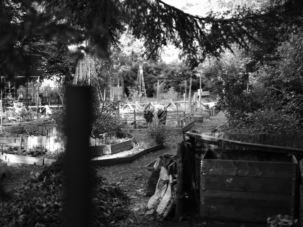 1/100 s, f/1.7, ISO 80, 55 mm, tryb Acros