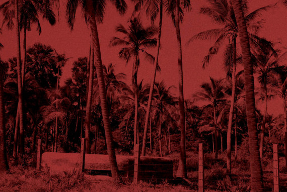 „Abandoned Daughters of the Tiger” - premiera książki Patryka Bułhaka