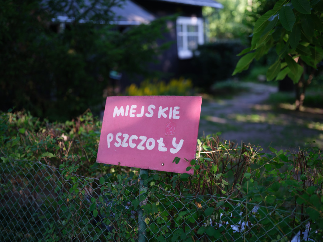1/105 s, f/1.7, ISO 80, 55 mm