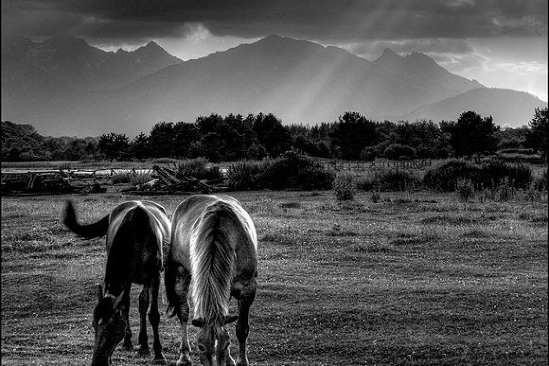 Warsztaty fotograficzne "Piękno Tatr"