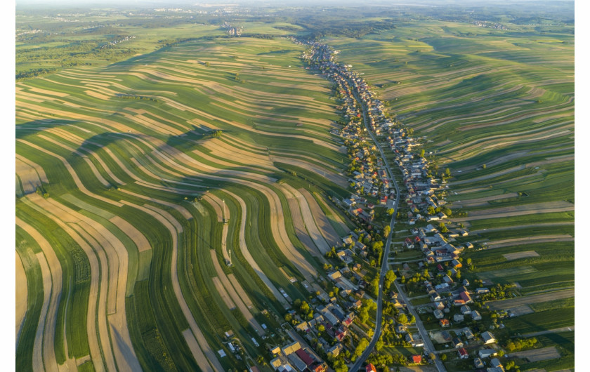 fot. George Steinmetz, z serii Foodscapes, 1. miejsce w kat. Series / Drone Photo Awards 2023