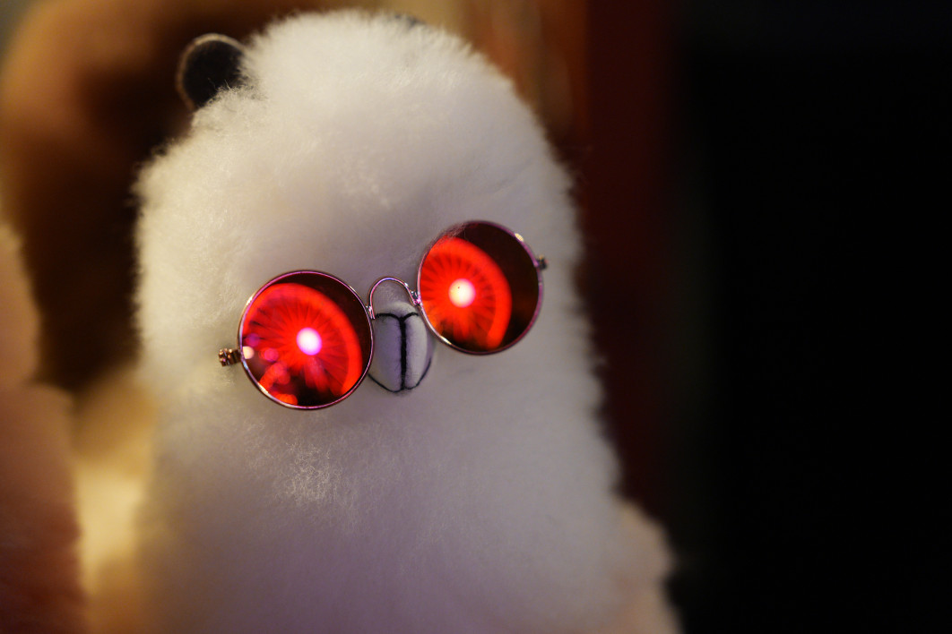 1/125 s, f/2.2, ISO 3200, 70.0 mm