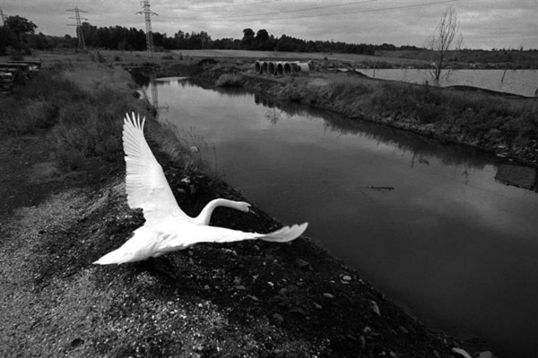 Wystawa "Stany graniczne" Arkadiusza Goli w Katowicach