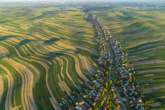 fot. George Steinmetz, z serii Foodscapes, 1. miejsce w kat. Series / Drone Photo Awards 2023