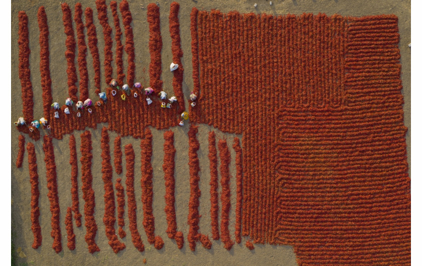 fot. George Steinmetz, z serii Foodscapes, 1. miejsce w kat. Series / Drone Photo Awards 2023