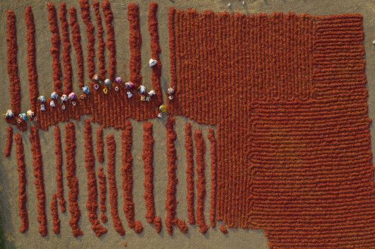 fot. George Steinmetz, z serii Foodscapes, 1. miejsce w kat. Series / Drone Photo Awards 2023