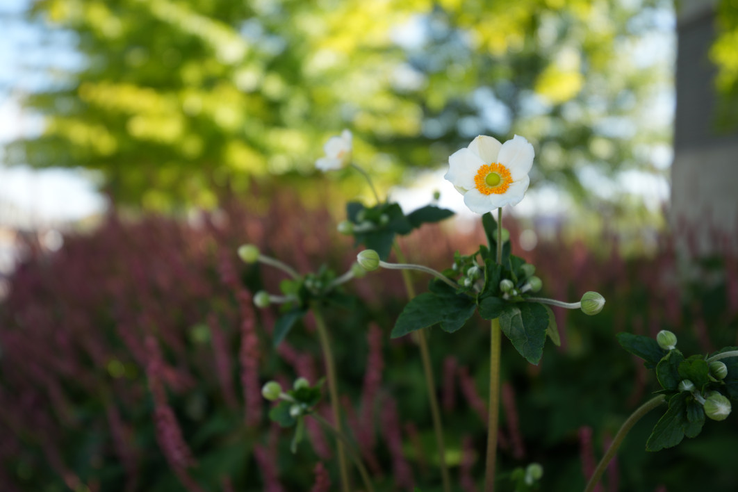 1/400 s, f/2,8, ISO 100, 30 mm 