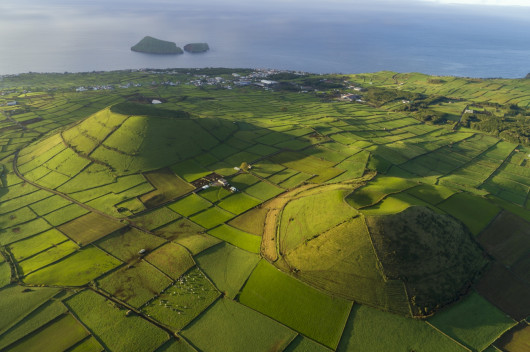 fot. George Steinmetz, z serii Foodscapes, 1. miejsce w kat. Series / Drone Photo Awards 2023
