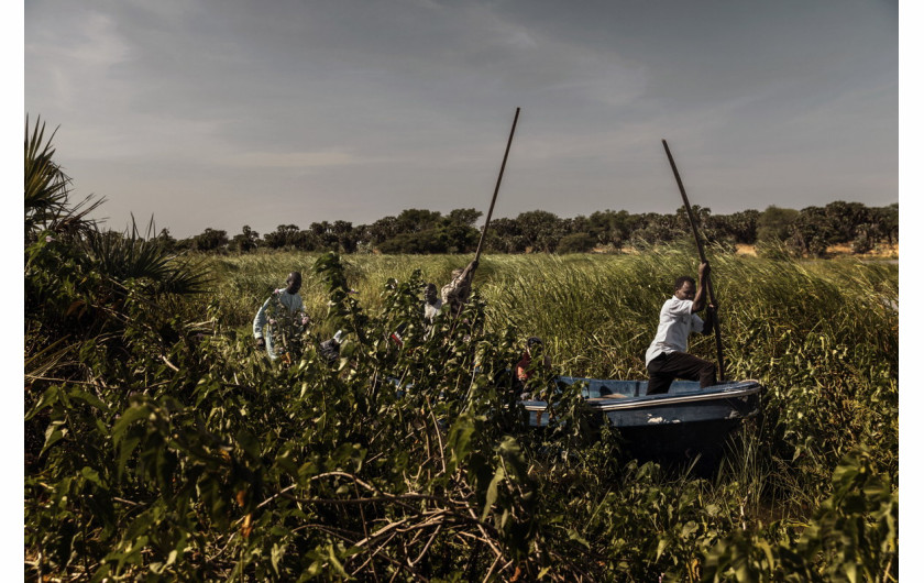 fot. Marco Gualazzini, Contrasto, z cyklu, The Lake Chad Crisis, Nominacja do nagrody World Press Photo Story of the Year

Kryzys humanitarny w Kotlinie Czasu to kombinacja konfliktu politycznego i czynników środowiskowych. Jezioro Czad, niegdyś jedno z największych w Afryce i źródło życia dla 40 mln osób, z powodu źle zaplanowanych systemów nawadniania, suszy i wylesiania terenu w ciągu 60 lat zmniejszyło swój rozmiar o 90 procent. Rybacy pozostali bez pracy, a brak wody wywołuje konflikty między farmerami, a hodowcami trzody. Korzysta na tym dżihadystyczne ugrupowanie Boko Haram, które rekrutuje nowych członków w lokalnych wioskach. Narastający konflikt doprowadził do wysiedlenia 2,5 mln osób i braku bezpieczeństwa żywnościowego.
