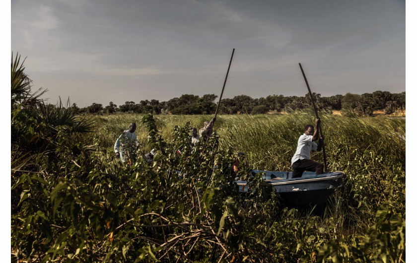 fot. Marco Gualazzini, Contrasto, z cyklu, The Lake Chad Crisis, Nominacja do nagrody World Press Photo Story of the Year

Kryzys humanitarny w Kotlinie Czasu to kombinacja konfliktu politycznego i czynników środowiskowych. Jezioro Czad, niegdyś jedno z największych w Afryce i źródło życia dla 40 mln osób, z powodu źle zaplanowanych systemów nawadniania, suszy i wylesiania terenu w ciągu 60 lat zmniejszyło swój rozmiar o 90 procent. Rybacy pozostali bez pracy, a brak wody wywołuje konflikty między farmerami, a hodowcami trzody. Korzysta na tym dżihadystyczne ugrupowanie Boko Haram, które rekrutuje nowych członków w lokalnych wioskach. Narastający konflikt doprowadził do wysiedlenia 2,5 mln osób i braku bezpieczeństwa żywnościowego.