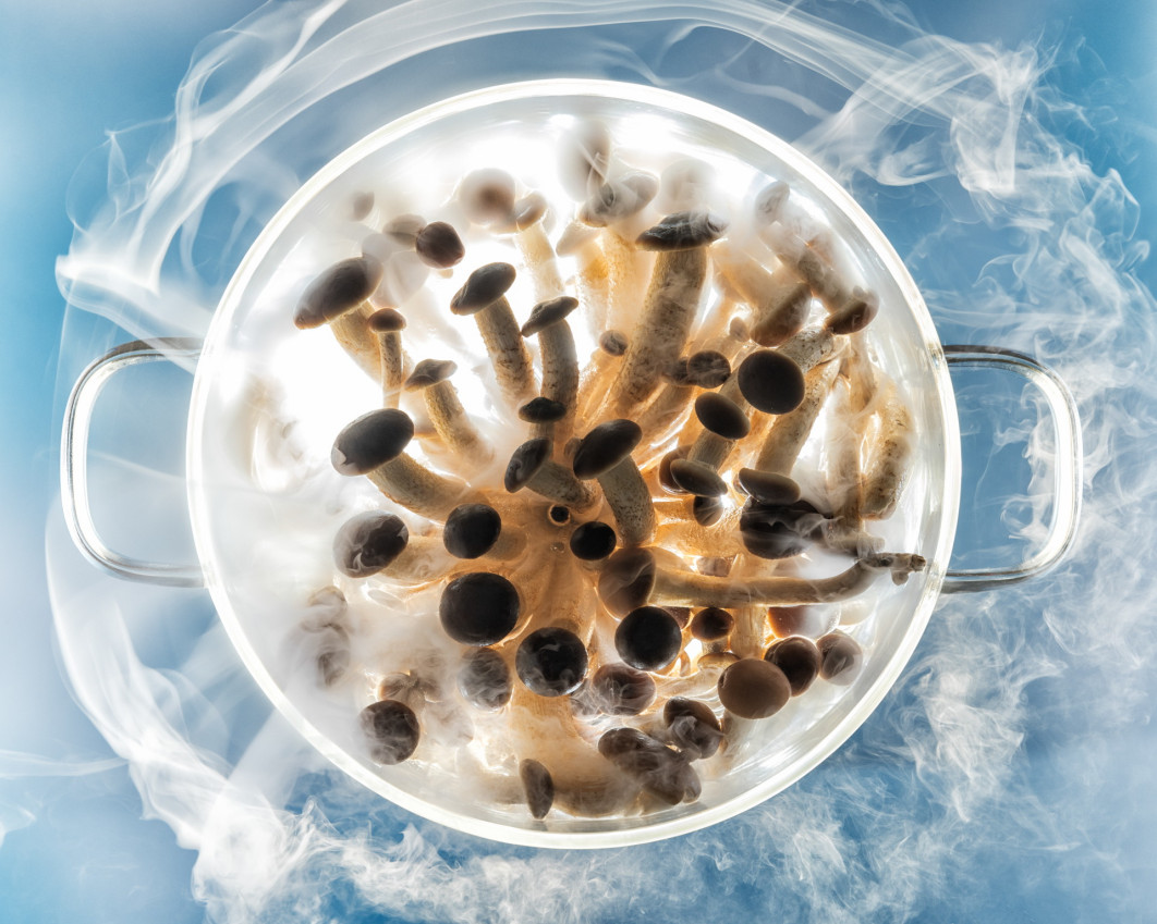 Fot. Diego Papagna, &quot;Sky Mushrooms&quot;, nagroda w kat. Production Paradise Previously Published / World Food Photography Awards by Bimi 2025